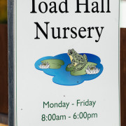 Toad Hall Nursery
